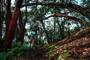 BIB: 
                            <button type="button" onclick="openModal(26346846)" class="btn btn-primary btn-sm float-right btn-popup" data-toggle="modal" data-target=".modal-high-quality">
                        <i class="fas fa-shopping-cart"></i> Add to Cart
                    </button>
                                            <button type="button" onclick="isThisMe(26346846, true)" class="btn btn-success btn-sm float-right btn-popup btn-isme hidden" data-toggle="tooltip" data-placement="bottom" title="นี่คือรูปของคุณใช่ไหม คลิกที่นี่เพื่อเอาเข้าอัลบั้ม">
                        <i class="fas fa-plus"></i> Add to album
                    </button>
                    <button type="button" onclick="isThisMe(26346846, false)" class="btn btn-warning btn-sm float-right btn-popup btn-isnotme hidden">
                        <i class="fas fa-ban"></i> Remove from album
                    </button>